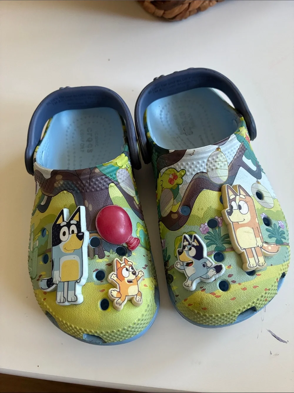 CROCS Kids' Bluey Forest Print Clogs in Green and Blue